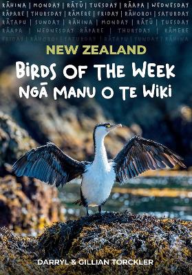 NZ Birds of the Week