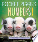 Pocket Piggies Numbers!