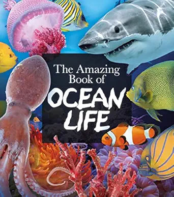 Amazing Book Ocean Life