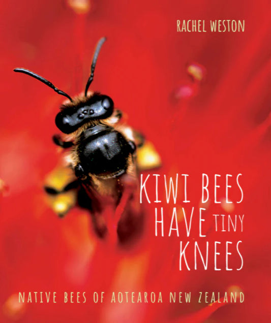 Kiwi bees have tiny knees