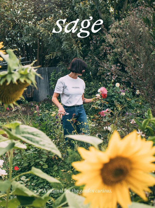 Sage